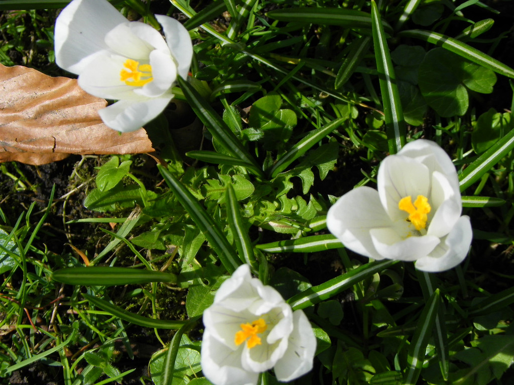 101_0051_jpg-1333492140