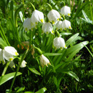 101_0059_jpg-1333492152