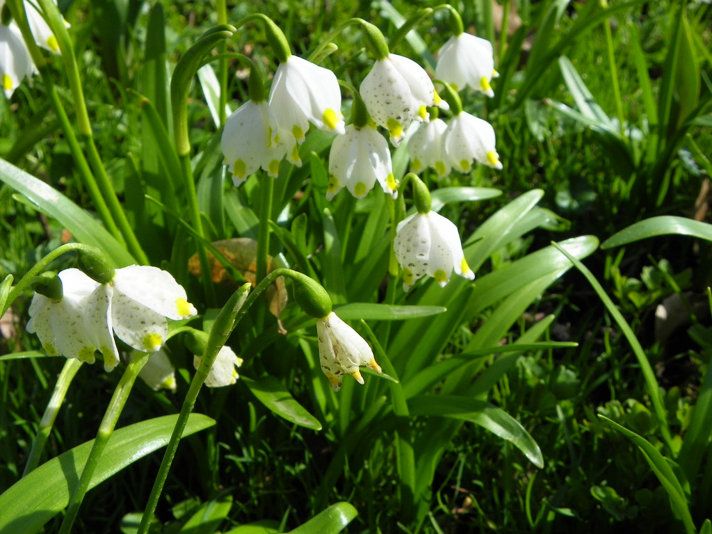 101_0059_jpg-1333492152