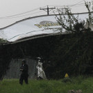 DAB3626-20120403.jpg