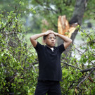 DAB3559-20120403.jpg