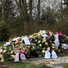 DI20529-20120330.jpg