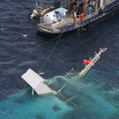 DAB0228-20120120.jpg