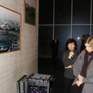 113_7243_JPG-1333578672