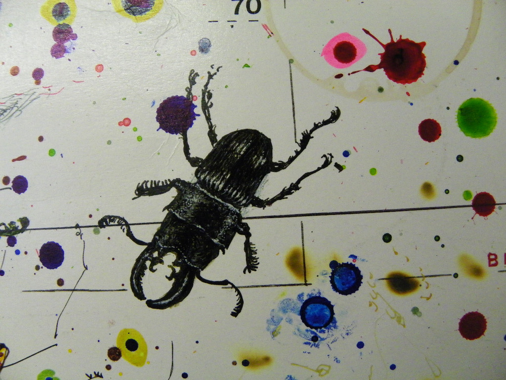 114_2654_JPG-1333584924