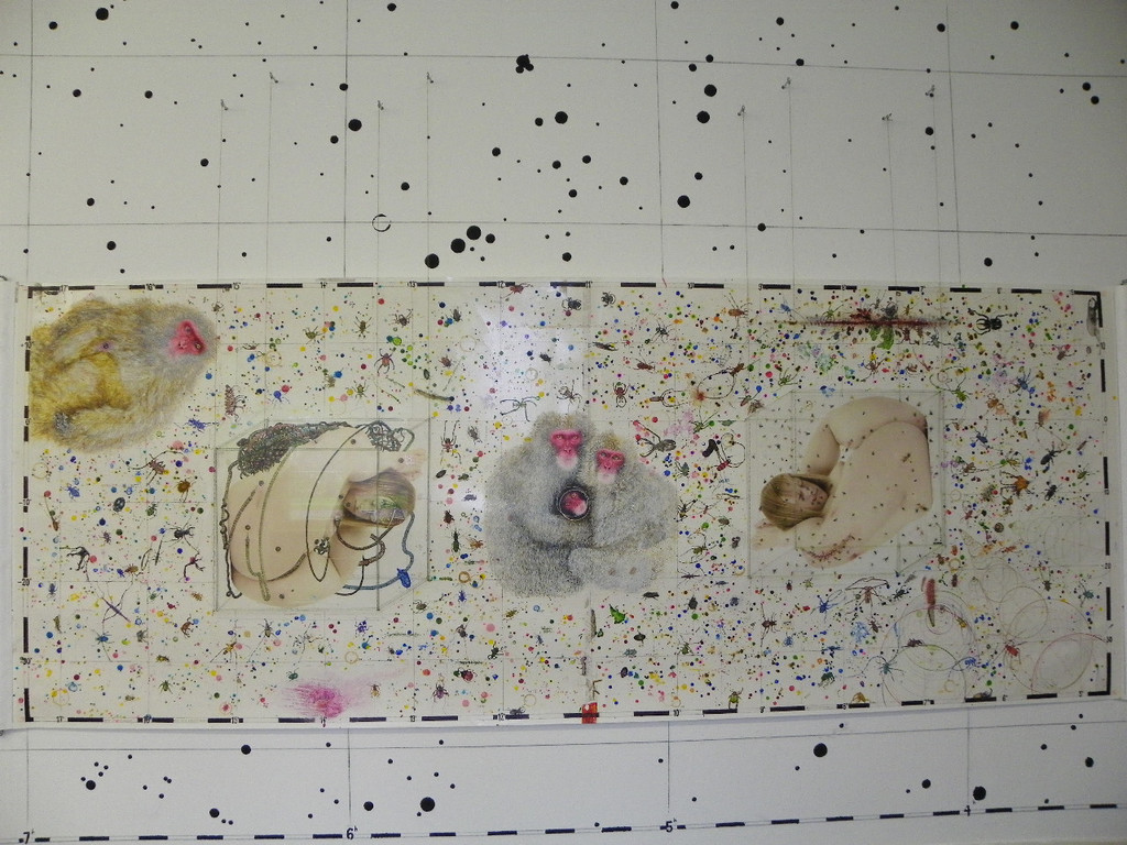 114_2651_JPG-1333584912