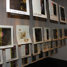 114_2647_JPG-1333584901