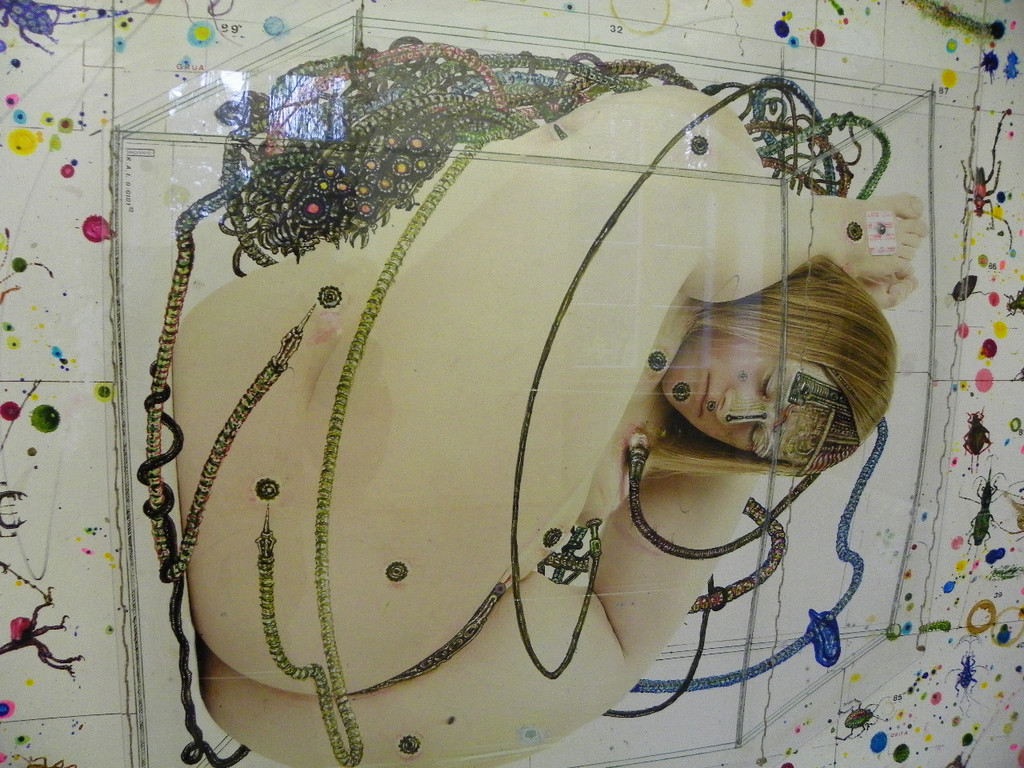 114_2663_JPG-1333584960