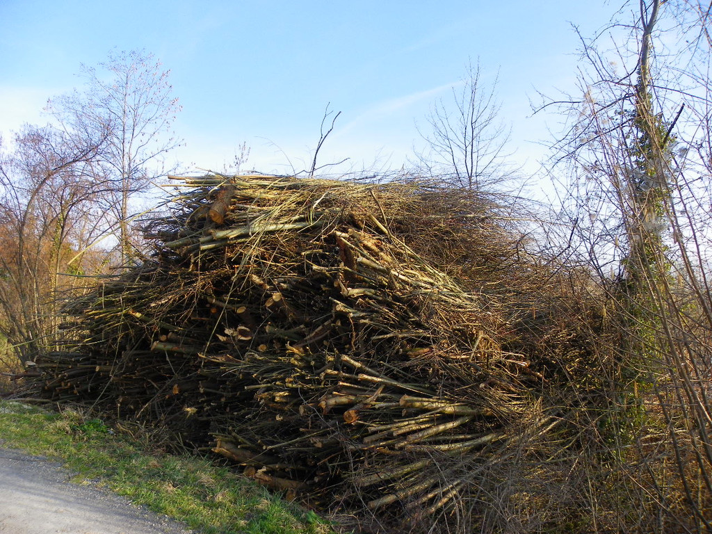 109_9223_JPG-1333614709