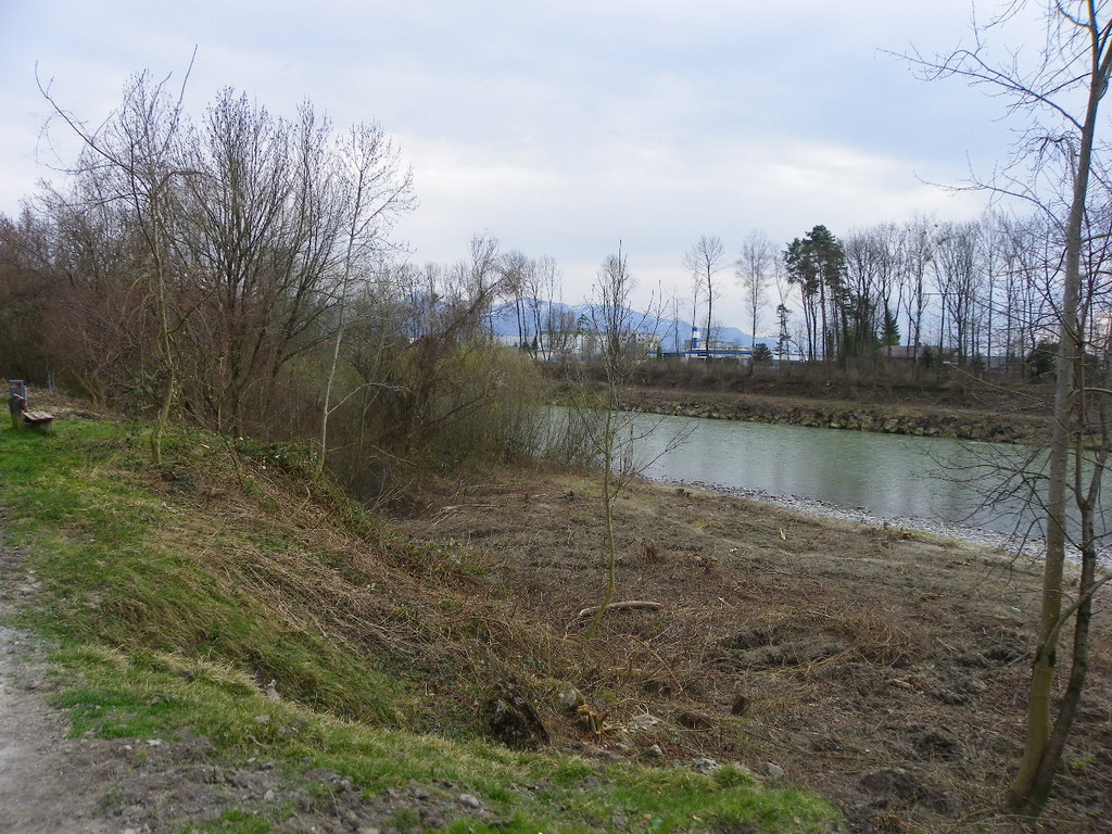 109_9619_JPG-1333614735