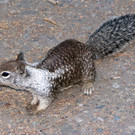 440425_original_R_by_Moni Sertel_pixelio_de.jpg