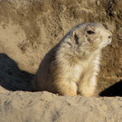 502952_original_R_K_by_Rolf Handke_pixelio_de.jpg