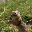 518558_original_R_by_Berndt Fankhauser_pixelio_de.jpg