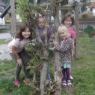 IMGP0661_JPG-1333625841