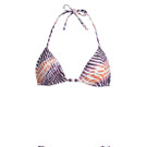 Fancy_Zebra_Bikini.jpg
