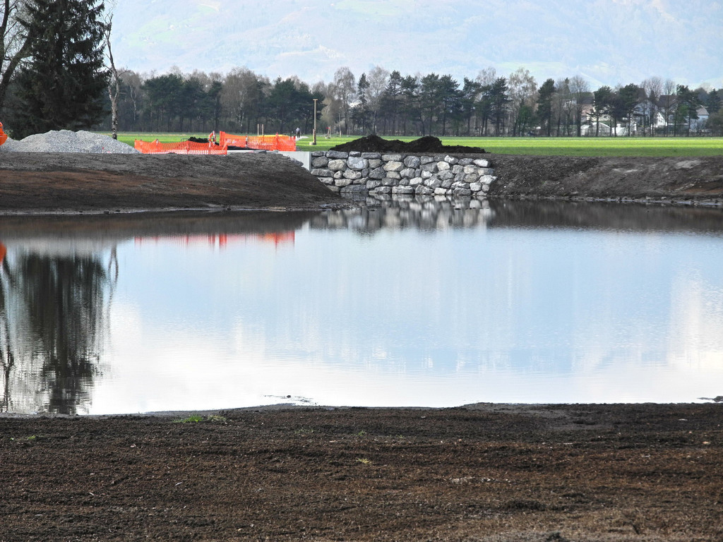 DSCN2124_jpg-1333634783