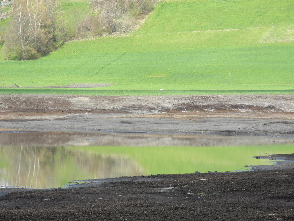 DSCN2127_JPG-1333634809