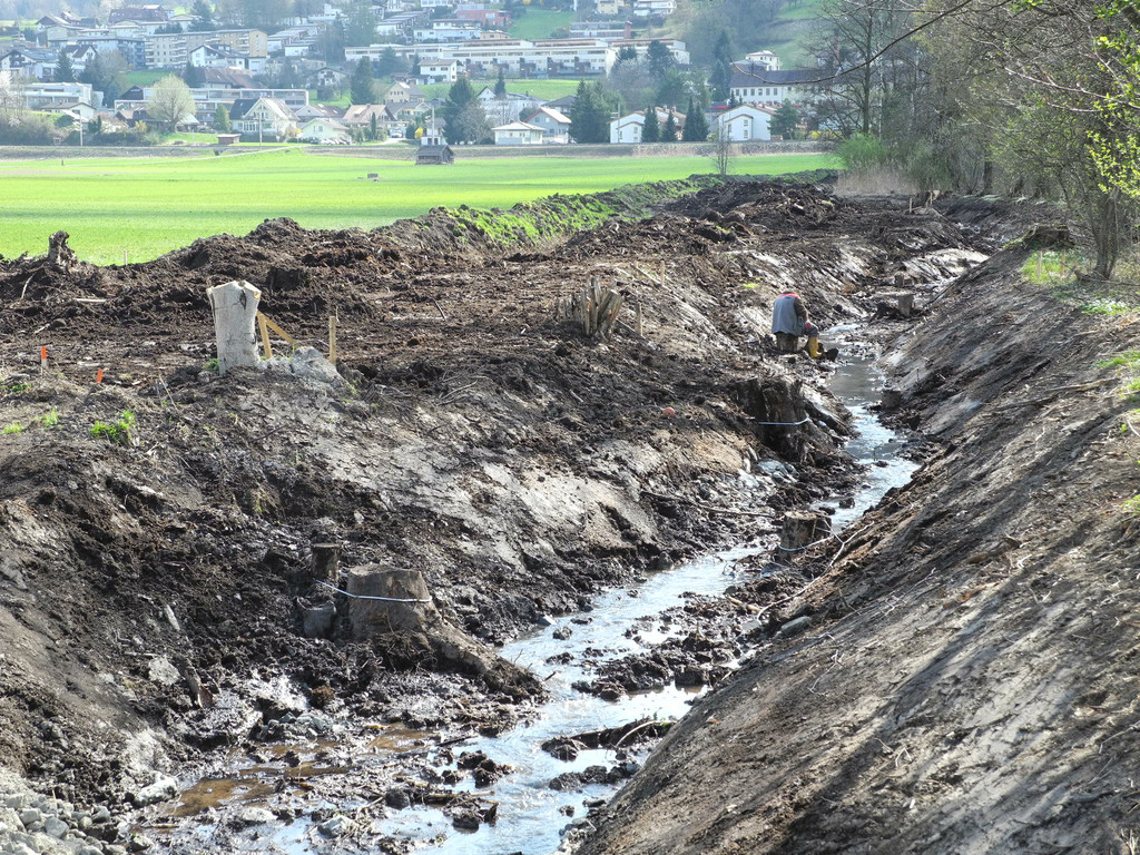 DSCN2135_jpg-1333634884