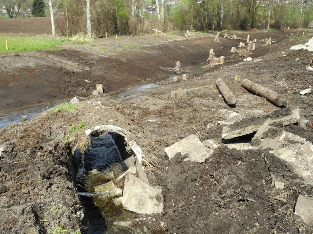 DSCN2134_jpg-1333634850