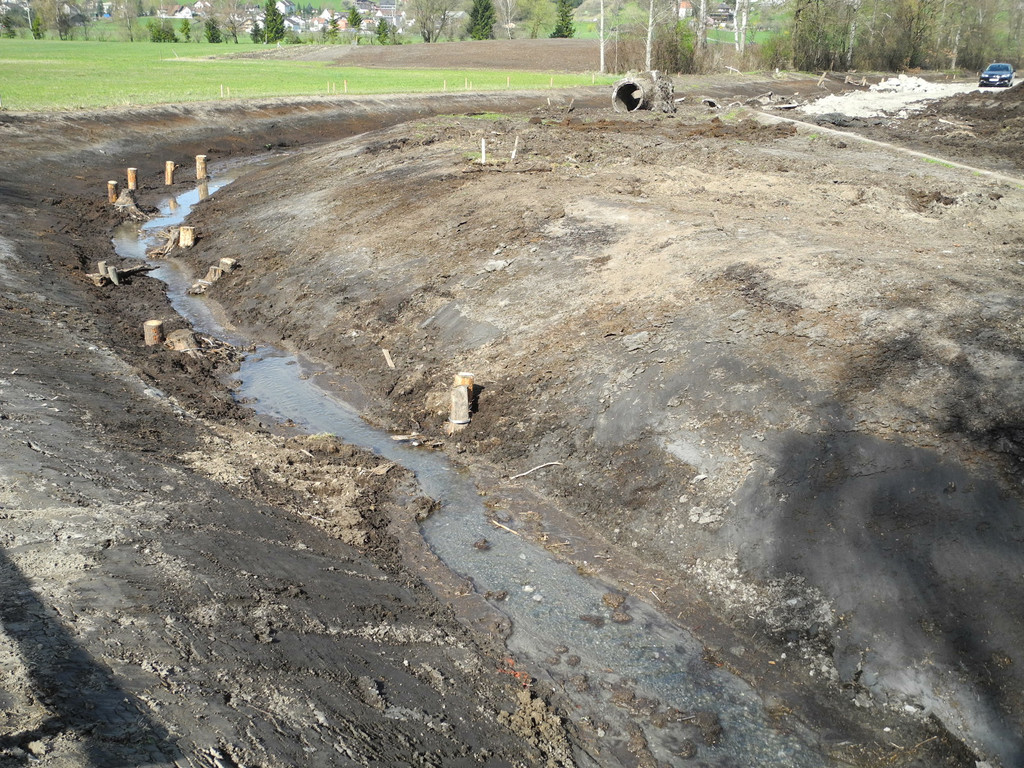 DSCN2136_jpg-1333634913