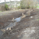 DSCN2138_JPG-1333634941