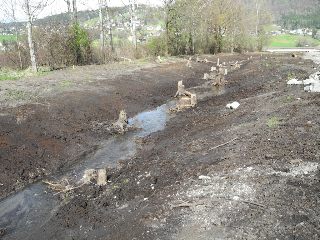 DSCN2138_JPG-1333634941