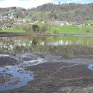 DSCN2140_JPG-1333634992