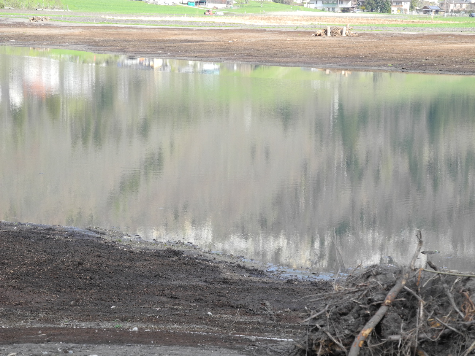 DSCN2142_JPG-1333635048