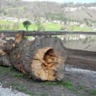 DSCN2143_jpg-1333635074