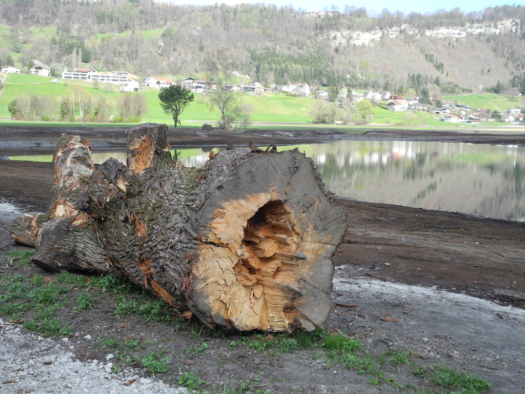 DSCN2143_jpg-1333635074