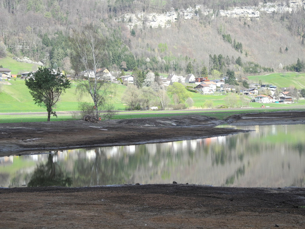 DSCN2144_jpg-1333635097