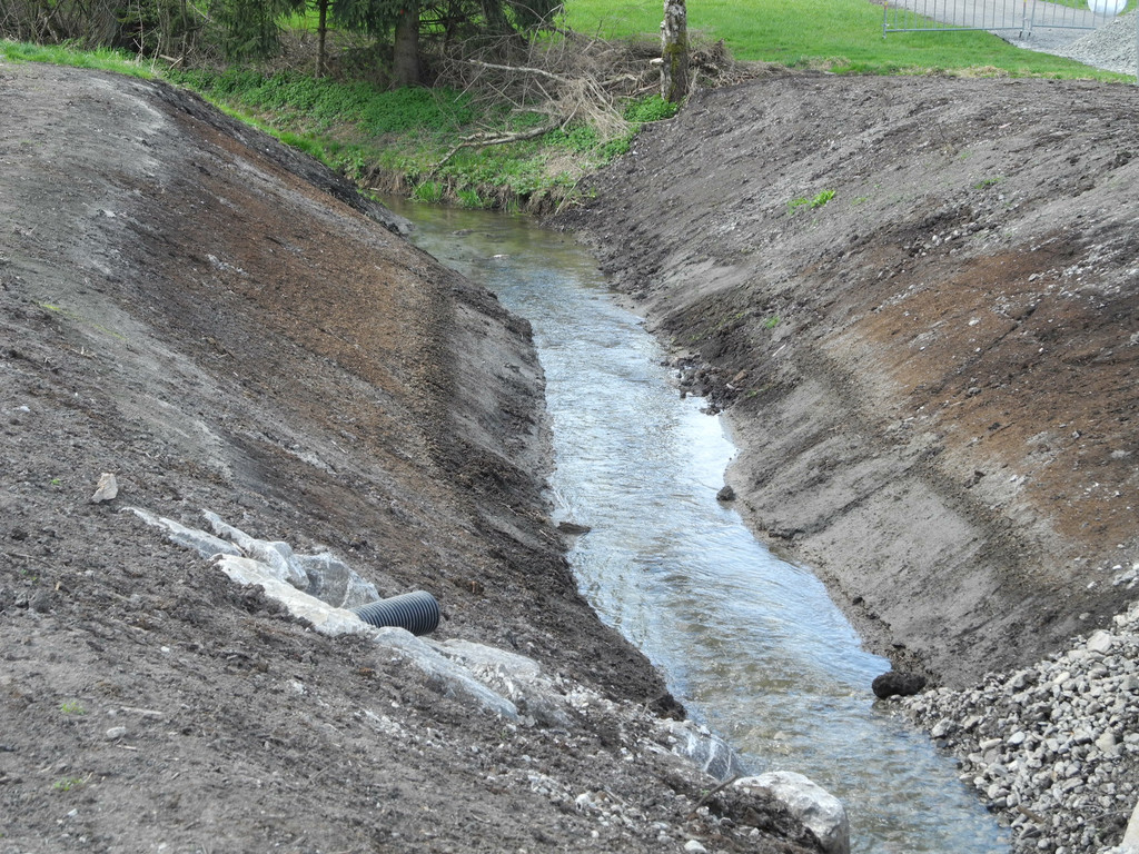 DSCN2145_jpg-1333635125