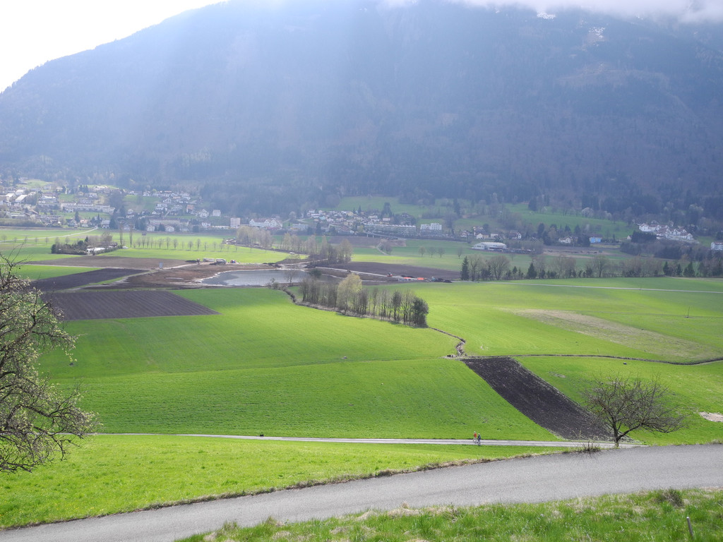 DSCN2150_JPG-1333635175