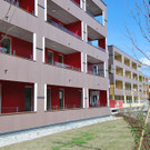 DSC_0033-1.jpg