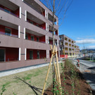 DSC_0042-1.jpg