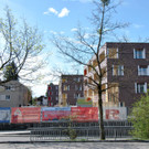 DSC_0105-1.jpg
