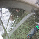fischteich 025.JPG