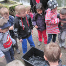 fischteich 028.JPG