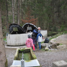 fischteich 043.JPG
