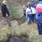 fischteich 055.JPG