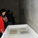 113_7857_JPG-1333661654