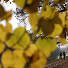 DAB1441-20111102.jpg