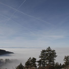 DAB2017-20111129.jpg