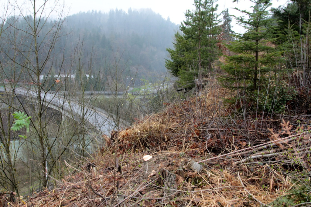 KOE_Felsr__umung Stein 2_jpg-1333703001