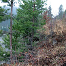 KOE_Felsr__umung Stein 8_jpg-1333703660