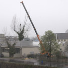 DSC00304.JPG