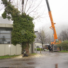 DSC00307.JPG