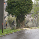 DSC00313.JPG