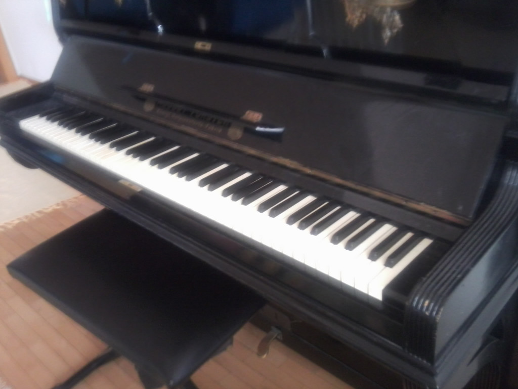 Foto0639_jpg-1333714317