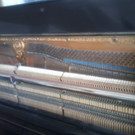 Foto0642_jpg-1333714332